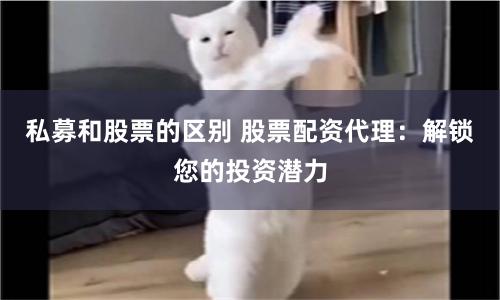 私募和股票的区别 股票配资代理：解锁您的投资潜力