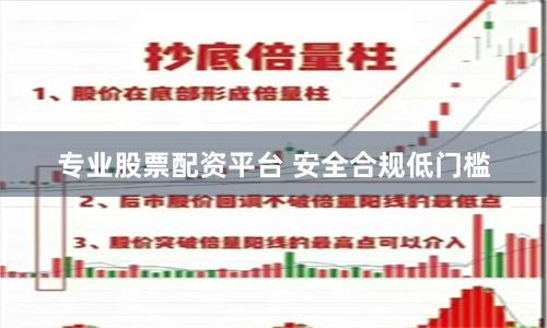专业股票配资平台 安全合规低门槛