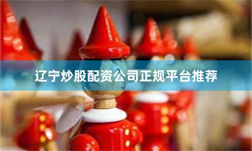 辽宁炒股配资公司正规平台推荐
